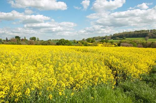 工信部公示5項(xiàng)肥料行業(yè)標(biāo)準(zhǔn)